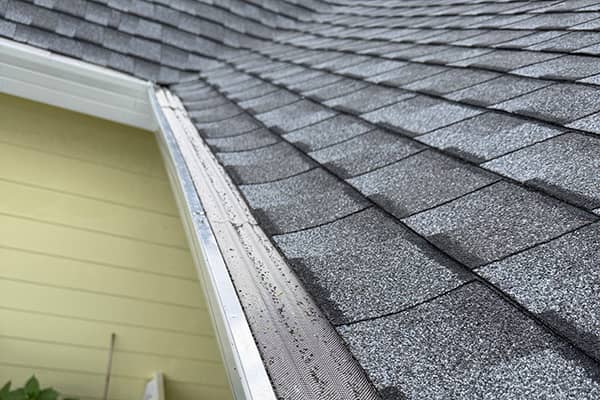 Gutter Guard and Debris Protection Services